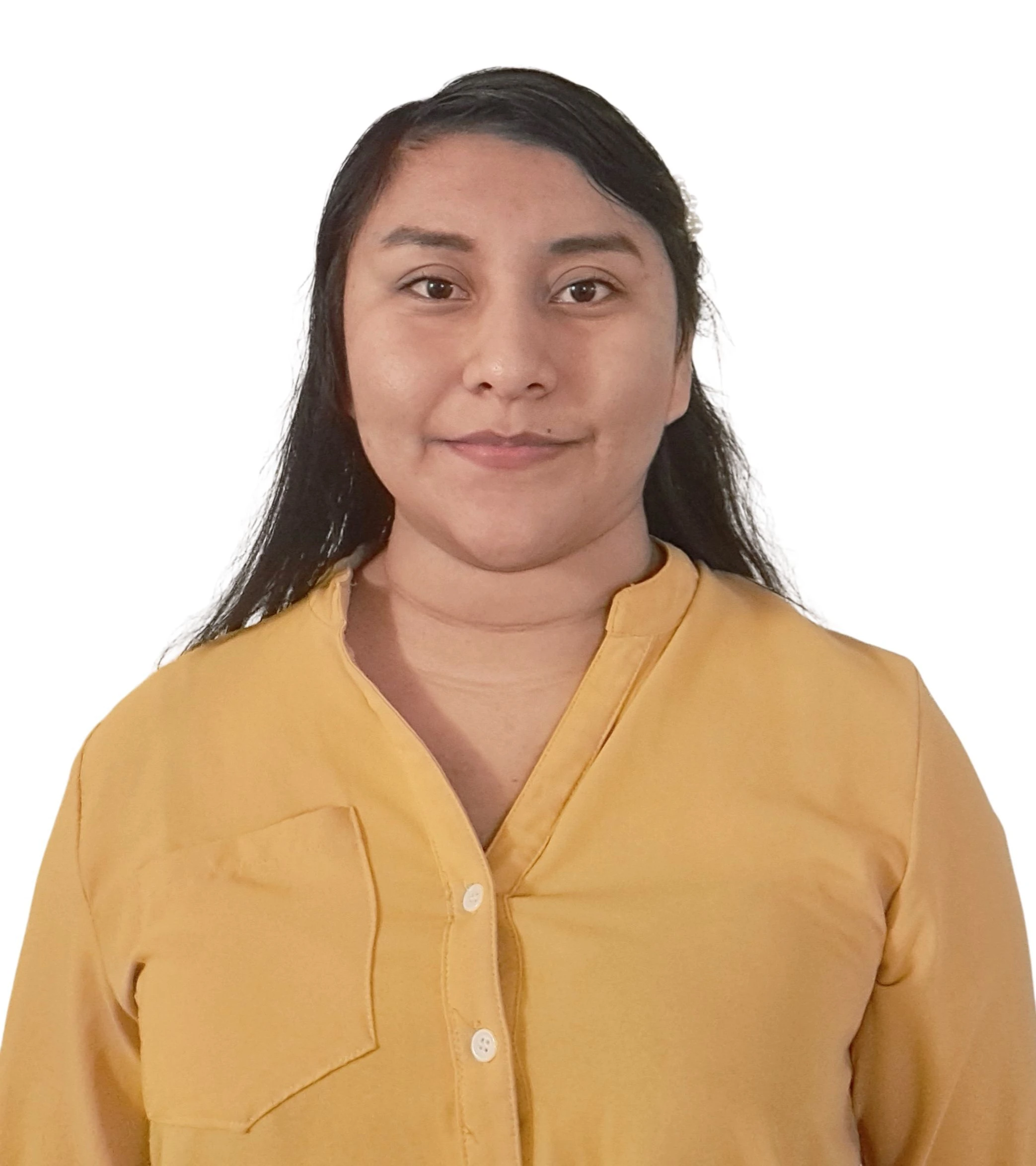 Portfolio Image